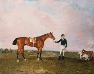 "Zinganee" tenuto da Sam Chifney Jr. a Newmarket
