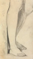 Studio di figura di gambe