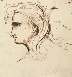Studio di Testa