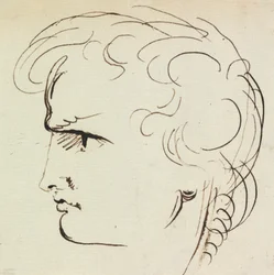 Studio di Ritratto di un Giovane