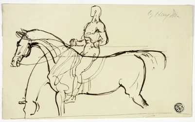 Schizzo di cavallo e cavaliere