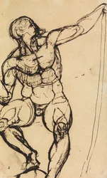 Studio di un nudo maschile