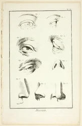 Design: Anatomia facciale da Encyclopédie