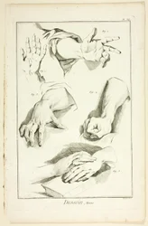 Design: Mani, da Encyclopédie