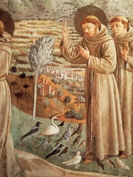 Storie della vita di San Francesco, predica agli uccelli (1452), ciclo di affreschi di Benozzo Gozzoli, tribuna absidale, Chiesa di San Francesco, Montefalco