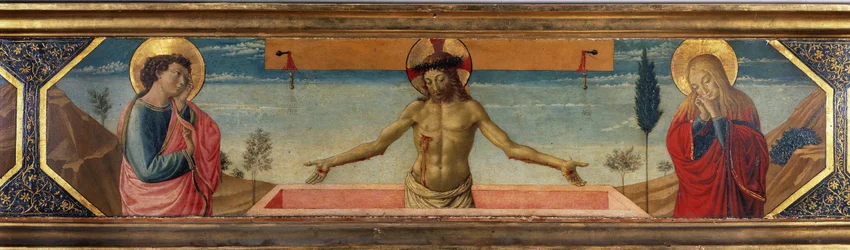 Immagine sconosciuta