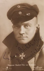 Ritratto di Manfred von Richthofen 1892-1918, 1918