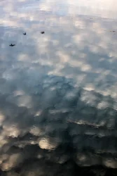 Riflessi di nuvole e uccelli sulla superficie del fiume Garonna a Tolosa, Haute-Garonne (foto)