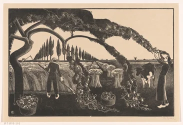 Uomo e donna che raccolgono