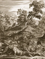 Atteone trasformato in cervo e divorato dai suoi cani, 1731