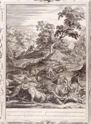 Atteone trasformato in cervo e divorato dai suoi cani, 1731