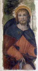 Rappresentazione di San Rocco. Affresco della scuola di Bernardino de Scapis noto come Bernardino Luini (1485-1532). XVI secolo