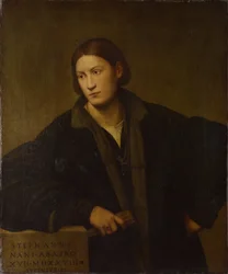 Ritratto di Stefano Nani, 1528
