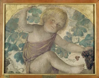 Putti che raccolgono - Putto sotto una pergola, c.1514 (affresco staccato su tavola)