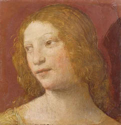Testa di una giovane donna