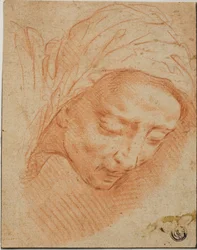 Testa di donna