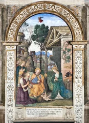 Adorazione dei pastori, affresco di Pinturicchio (Bernardino di Betto) (1454-1513), 1484-1492, Basilica di Santa Maria del Popolo (Chiesa di Santa Maria del Popolo), Cappella Basso della Rovere, Roma, Italia