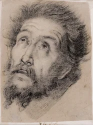 Studio per San Francesco d