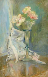 Anemoni rosa