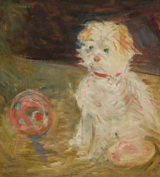 Cane con pallone