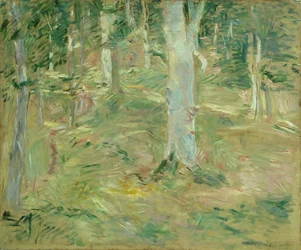 Foresta di Compiègne