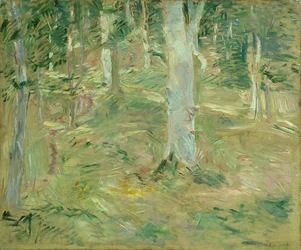 Foresta di Compiègne