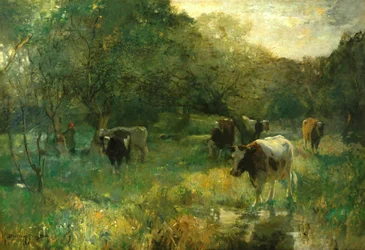 Pascolo nella valle, prati paludosi
