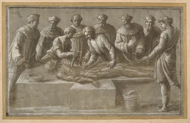 Sei professori di anatomia che dissezionano un cadavere maschile scuoiato (penna e inchiostro marrone con lavaggio marrone e lumeggiatura)