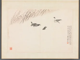 Album di Calligrafia e Dipinti