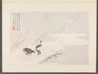 Album di Calligrafia e Dipinti