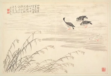 Album di calligrafia e dipinti, XVIII secolo