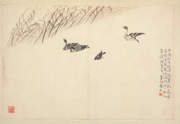 Album di calligrafia e dipinti, XVIII secolo