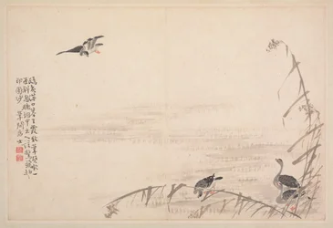 Album di calligrafia e dipinti, XVIII secolo