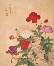 Album di fiori (inchiostro e colore su seta)