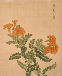 Album di fiori (inchiostro e colore su seta)