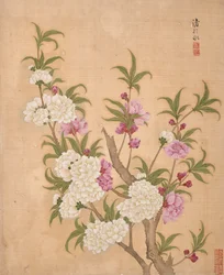 Album di fiori (inchiostro e colore su seta)