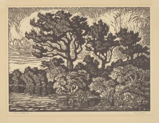 Salice e bosco di cotone, 1931 circa (linoleografia)