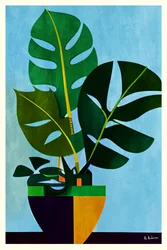 Monstera in vaso moderna