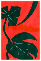 Foglie di Monstera "Jungle"