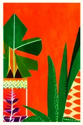 Piante tropicali dai colori vivaci