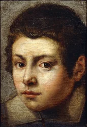 La testa di un ragazzo
