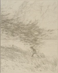 Il ramo di pino