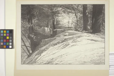 Rocce e alberi