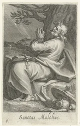 San Malco di Chalcis come eremita
