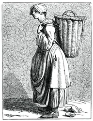 Ostriche nel guscio!, 1737-1742