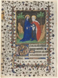 Pagine da un Libro d