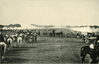 Il campo del viceré all
