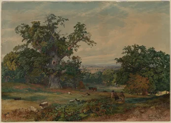 Veduta vicino a Bedford