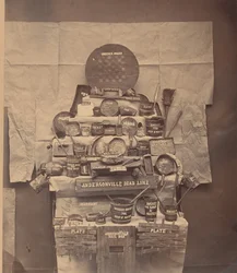 Reliquie della Prigione di Andersonville, giugno 1866