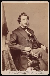 Ritratto di Hamilton Fish, prima del 1893